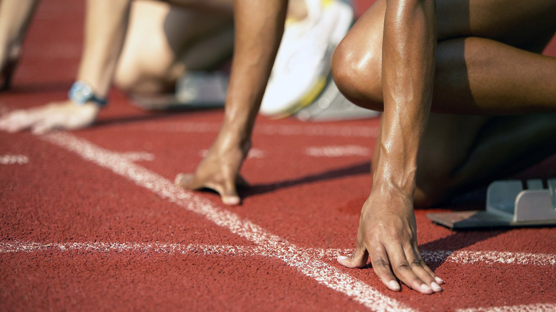 球场环保倡议推行，赛事实现碳中和目标进程公布，体育碳中和